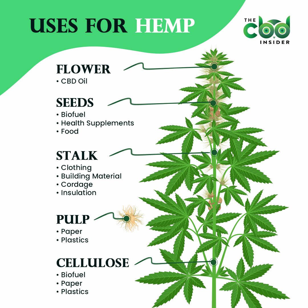 uses for hemp