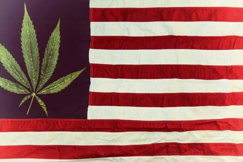 americans support legalizing marijuana