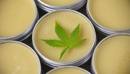gnc to sell cbd products
