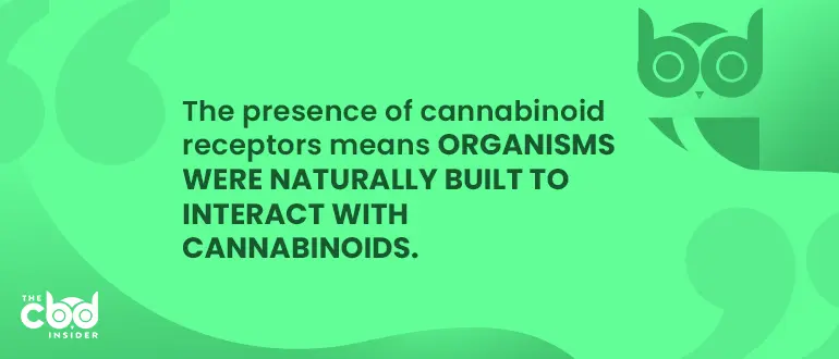 about the endocannabinoid system
