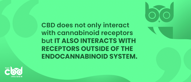 cbd interacts with receptors