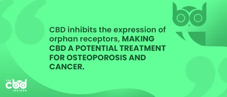 cbd as potential treatment for osteoporosis and cancer