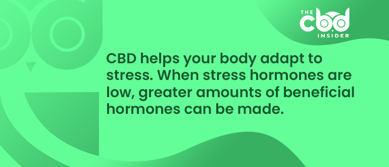 cbd for hormonal health