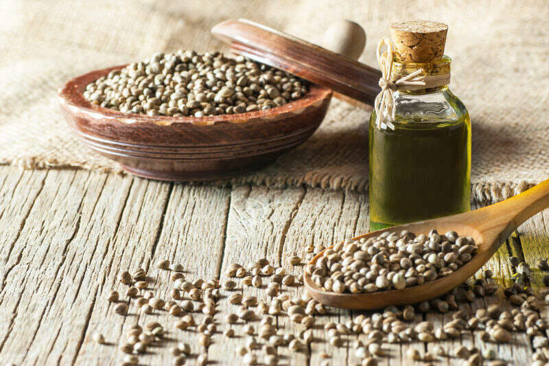 hemp seed oil benefits