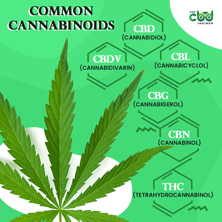 common cannabinoids