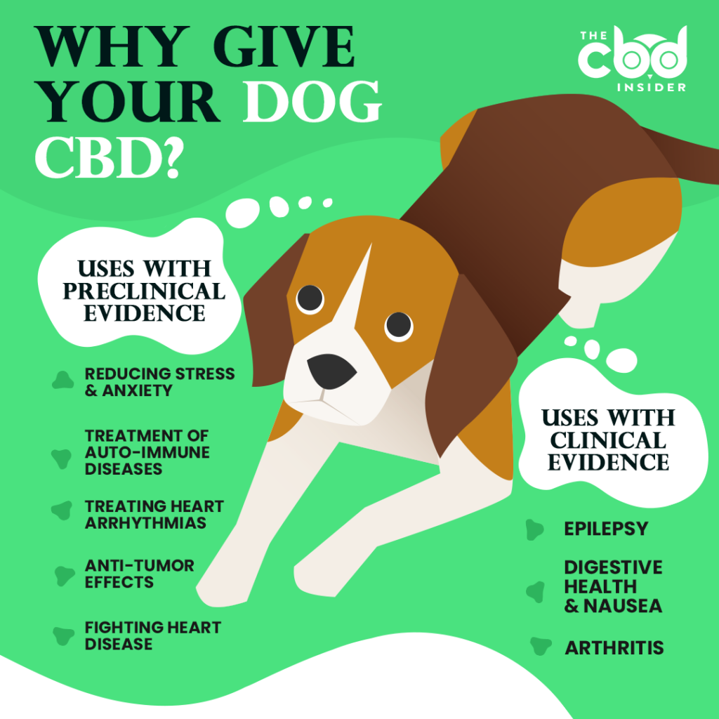 why give your dog cbd