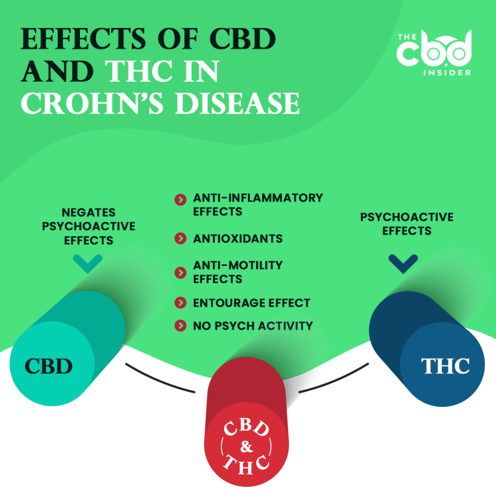 effects of cbd and thc in crohns disease