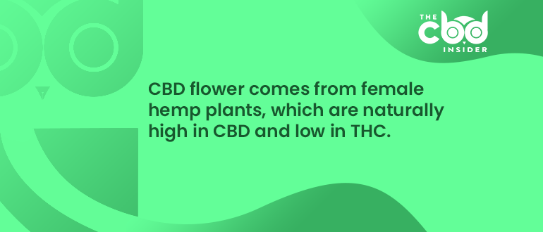 what is cbd flower