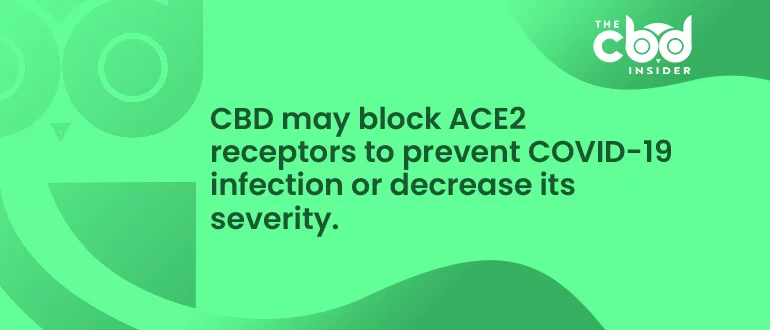 cbd may block covid-19 from entering cells