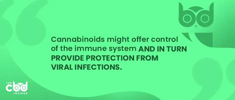 cannabinoids might offer control of the immune system