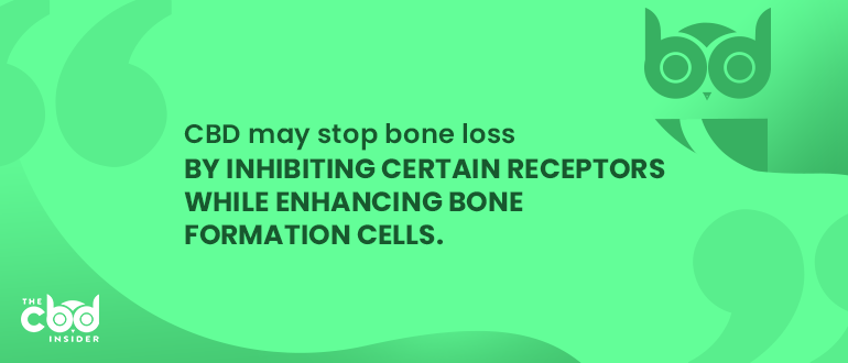 cbd for osteoporosis