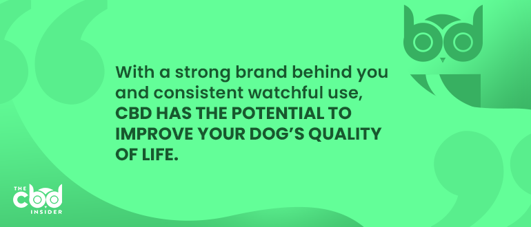 with a strong cbd brand behind you