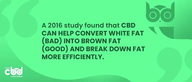 cbd can help convert white fat into brown fat