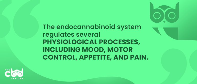 endocannabinoid system in pd