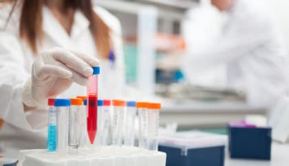 cbd does not induce liver toxicity per trial results