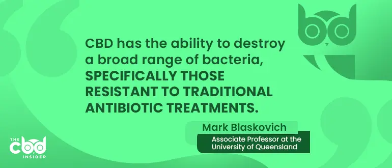 CBD has the ability to destroy a broad range of bacteria